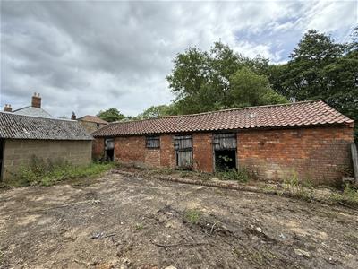Picture 21